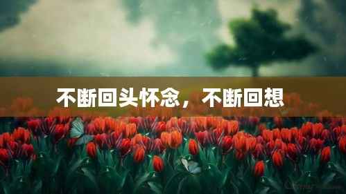 不断回头怀念,不断回想