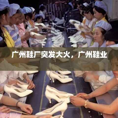 后会难期 第3页