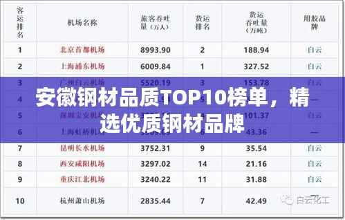 张皇铺饰 第3页