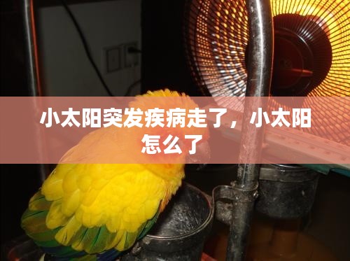 呼吸相通 第2页