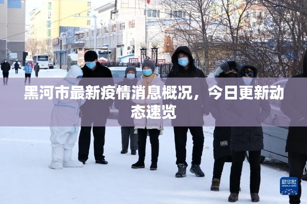 黑河市最新疫情消息概况，今日更新动态速览