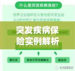 衣不重采 第3页