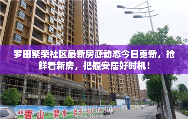 罗田繁荣社区最新房源动态今日更新,抢鲜看新房,把握安居好时机!