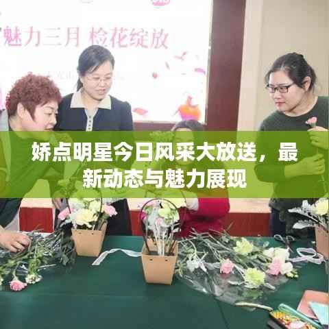 娇点明星今日风采大放送,最新动态与魅力展现