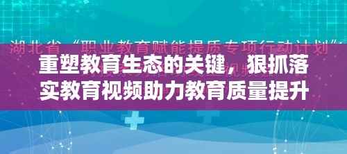重塑教育生态的关键,狠抓落实教育视频助力教育质量提升