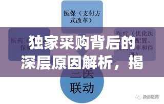 独家采购背后的深层原因解析,揭秘设备采购背后的因素