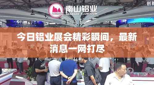 今日铝业展会精彩瞬间，最新消息一网打尽