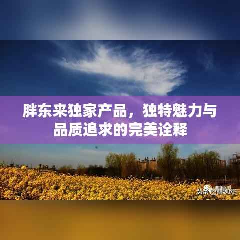 胖东来独家产品,独特魅力与品质追求的完美诠释