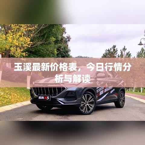 玉溪最新价格表,今日行情分析与解读
