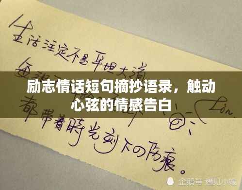 励志情话短句摘抄语录,触动心弦的情感告白