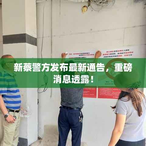 钗荆裙布 第2页