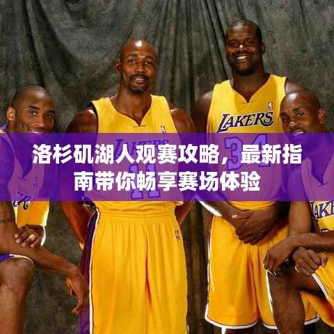 洛杉矶湖人观赛攻略,最新指南带你畅享赛场体验