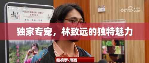 独家专宠，林致远的独特魅力