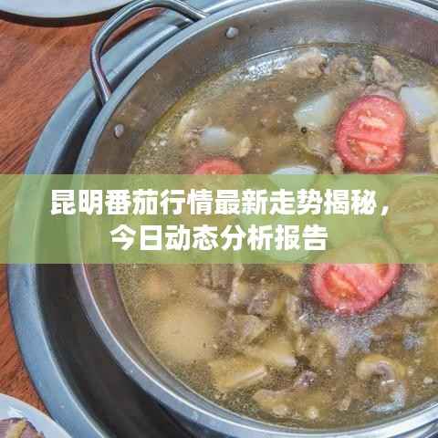 昆明番茄行情最新走势揭秘,今日动态分析报告
