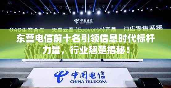 东营电信前十名引领信息时代标杆力量，行业翘楚揭秘！