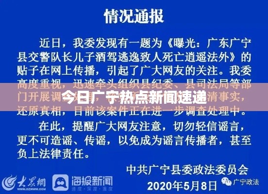 还朴反古 第2页