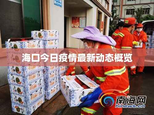 海口今日疫情最新动态概览