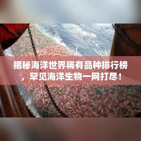 气宇轩昂 第2页