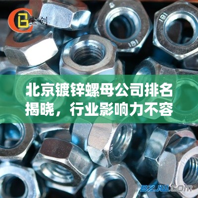 北京镀锌螺母公司排名揭晓,行业影响力不容小觑