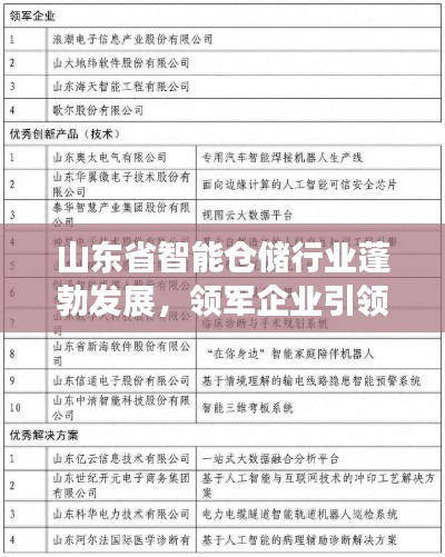 山东省智能仓储行业蓬勃发展,领军企业引领潮流榜单揭晓!