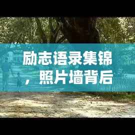 励志语录集锦,照片墙背后的力量