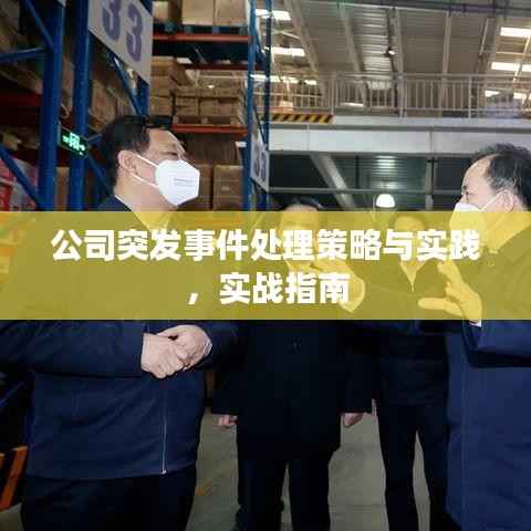 公司突发事件处理策略与实践，实战指南