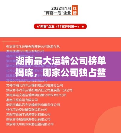 湖南最大运输公司榜单揭晓,哪家公司独占鳌头?