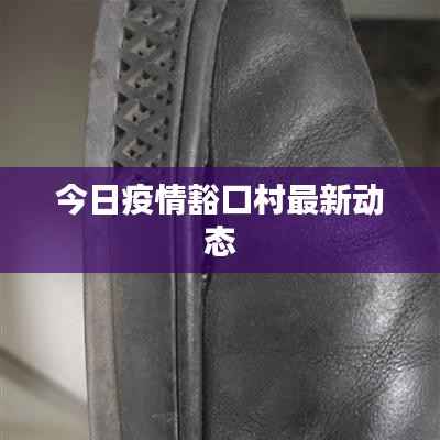 今日疫情豁口村最新动态