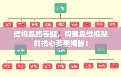 结构思路专题,构建思维框架的核心要素揭秘!