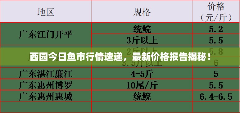 西园今日鱼市行情速递,最新价格报告揭秘!