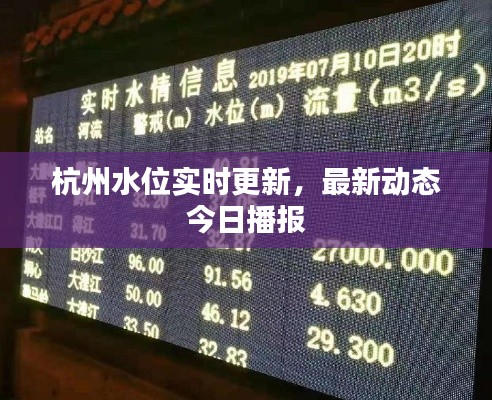 杭州水位实时更新,最新动态今日播报