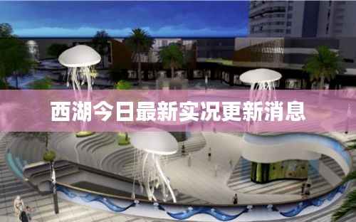西湖今日最新实况更新消息