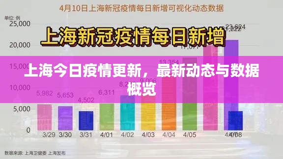 上海今日疫情更新，最新动态与数据概览