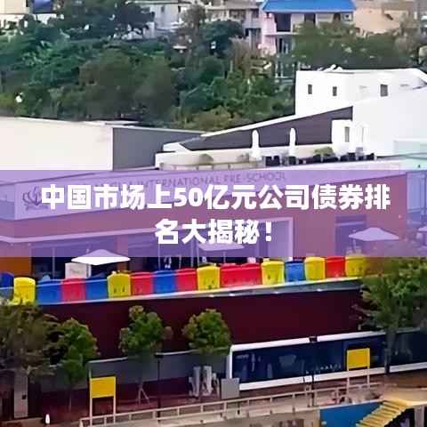 中国市场上50亿元公司债券排名大揭秘!