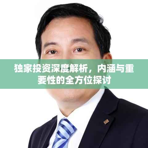 独家投资深度解析,内涵与重要性的全方位探讨