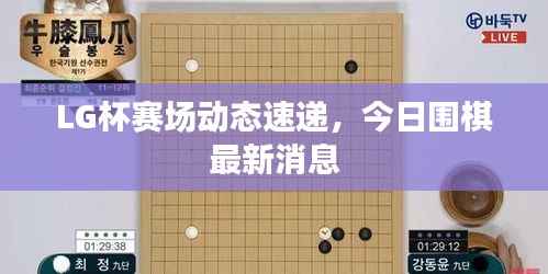 LG杯赛场动态速递,今日围棋最新消息