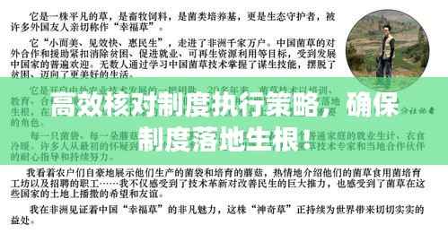 高效核对制度执行策略,确保制度落地生根!