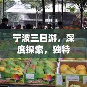 笃新怠旧 第2页