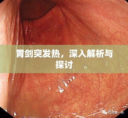 胃剑突发热,深入解析与探讨