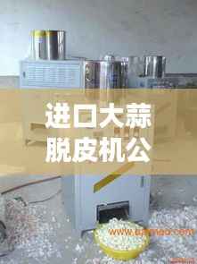 进口大蒜脱皮机公司排行榜揭晓,权威排名一网打尽!