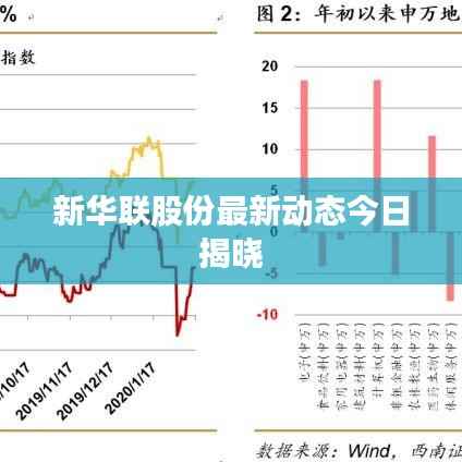 新华联股份最新动态今日揭晓
