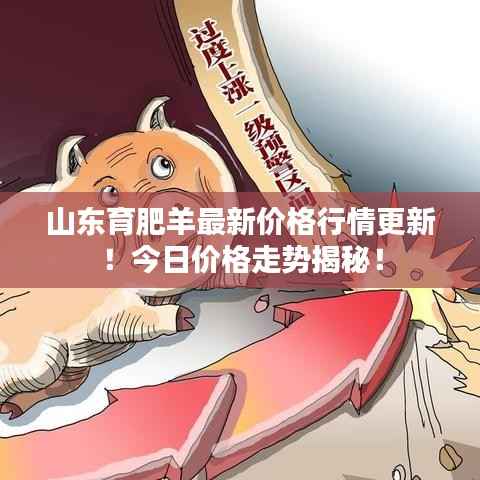 山东育肥羊最新价格行情更新!今日价格走势揭秘!