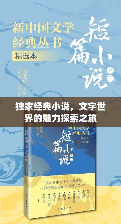 独家经典小说,文字世界的魅力探索之旅