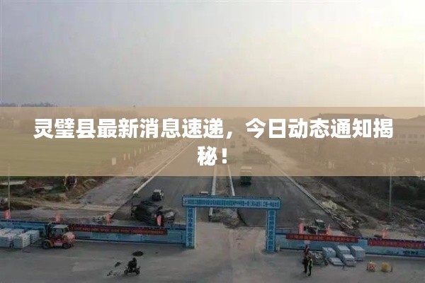 灵璧县最新消息速递,今日动态通知揭秘!