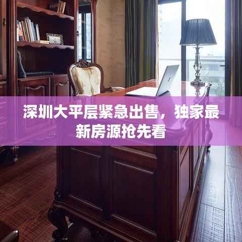 深圳大平层紧急出售,独家最新房源抢先看