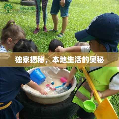 独家揭秘，本地生活的奥秘