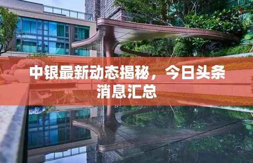 中银最新动态揭秘,今日头条消息汇总