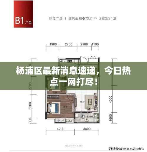 杨浦区最新消息速递,今日热点一网打尽!