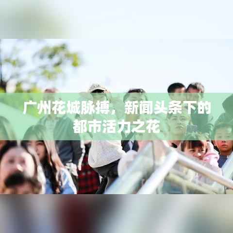 广州花城脉搏,新闻头条下的都市活力之花