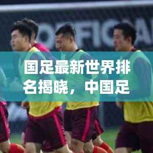 国足最新世界排名揭晓,中国足球国际赛场表现亮眼,未来展望令人期待
